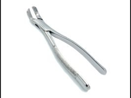 forceps for the extraction of wolf tooth and incis