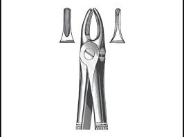 Extracting Forceps, English Pattern