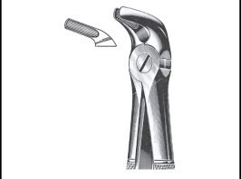 Extracting Forceps, English Pattern