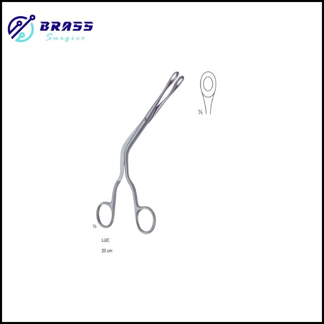 Nasal Cutting Forceps