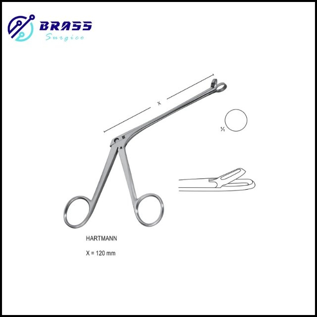 Nasal Cutting Forceps
