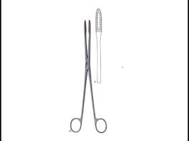 GROSS-MAIER Without Ratchet