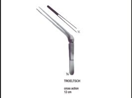 TROELTSCH Cross action