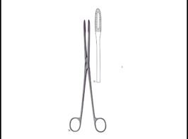 GROSS-MAIER Without Ratchet