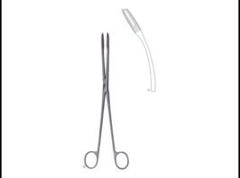 GROSS-MAIER Without Ratchet