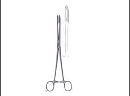 GROSS-MAIER Without Ratchet