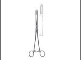 GROSS-MAIER Without Ratchet