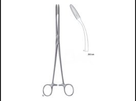 GROSS-MAIER Without Ratchet