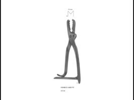 Bone Holding Forceps