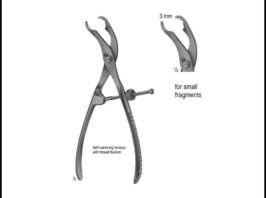 Bone Holding Forceps