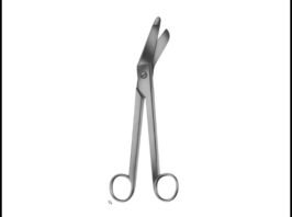 Plaster Scissors