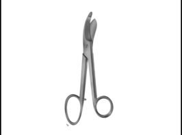 Plaster Scissors
