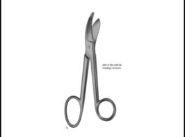 Plaster Scissors