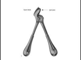 Plaster Shears
