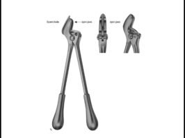 Plaster Shears