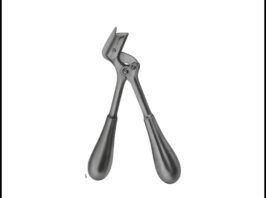 Plaster Shears