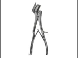 Plaster Shears